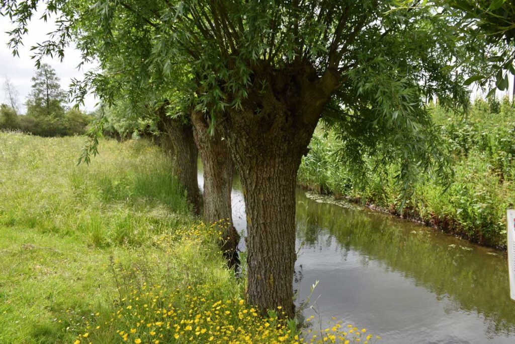 Kasteel Ten Goye – Houten Gracht kasteel Ten Goye