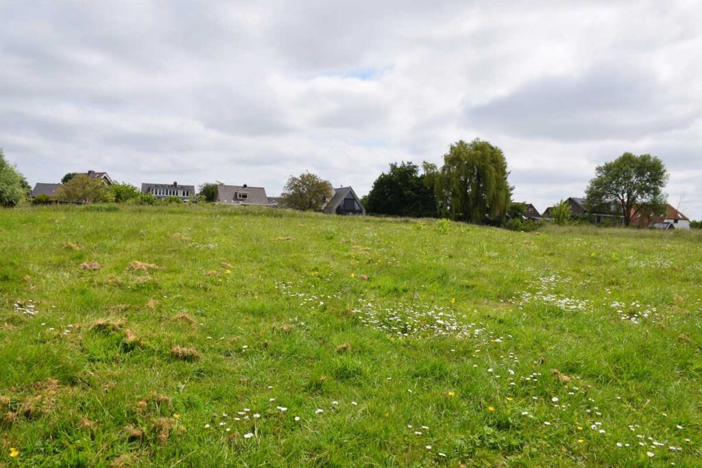 Kasteel Ten Goye – Houten Terrein Kasteel Ten Goye 2023